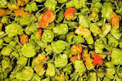 《漫威暗夜之子》中文预告片 12月2日正式发售